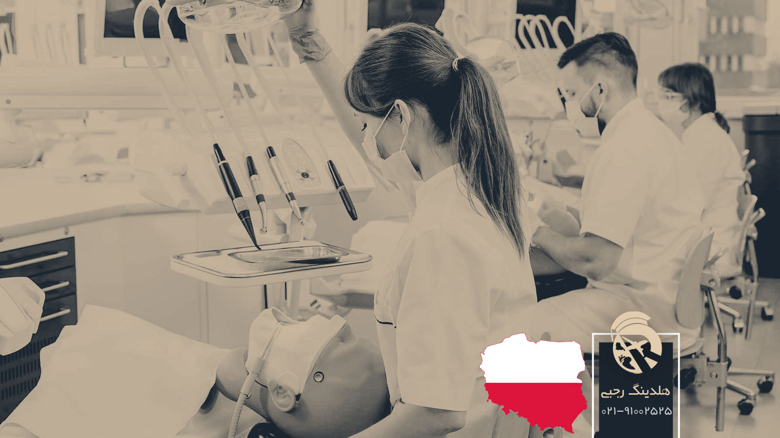 تحصیل دندانپزشکی در لهستان