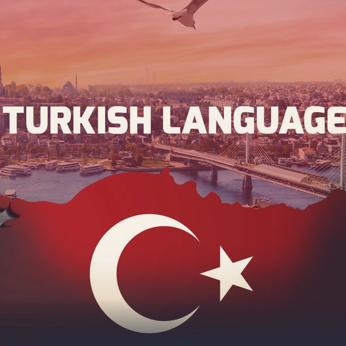 زبان ترکی مدرن